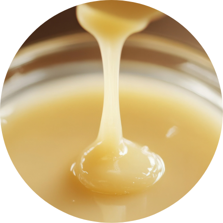 ローヤルゼリー酸