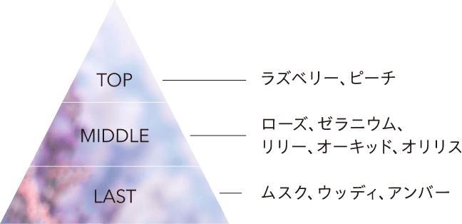 成分
