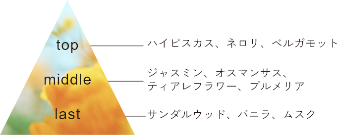 トップ・ミドル・ラストノート図
