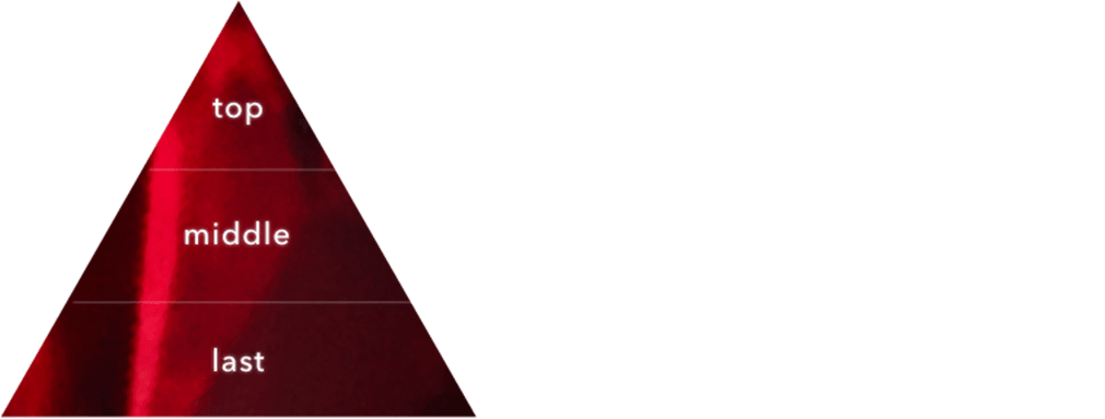top：グリーンマンゴー、レモン、ベルガモット　middle：ローズ、サフラン、ゼラニウム、ジャスミン、ブラックペッパー、ナツメグ　last：ムスク、ウッディ、アンバー