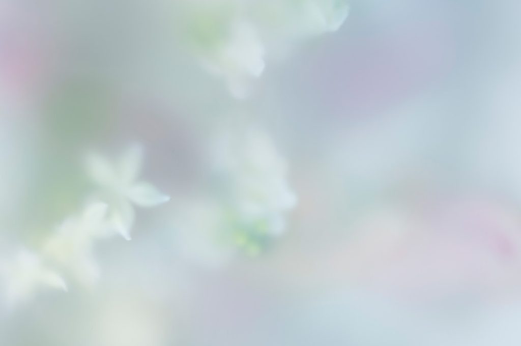 ヘブンリーモーニング