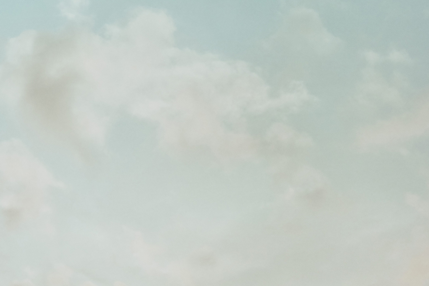 【限定】グッドクライ