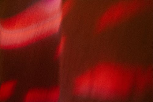 【限定】ルビーノット
