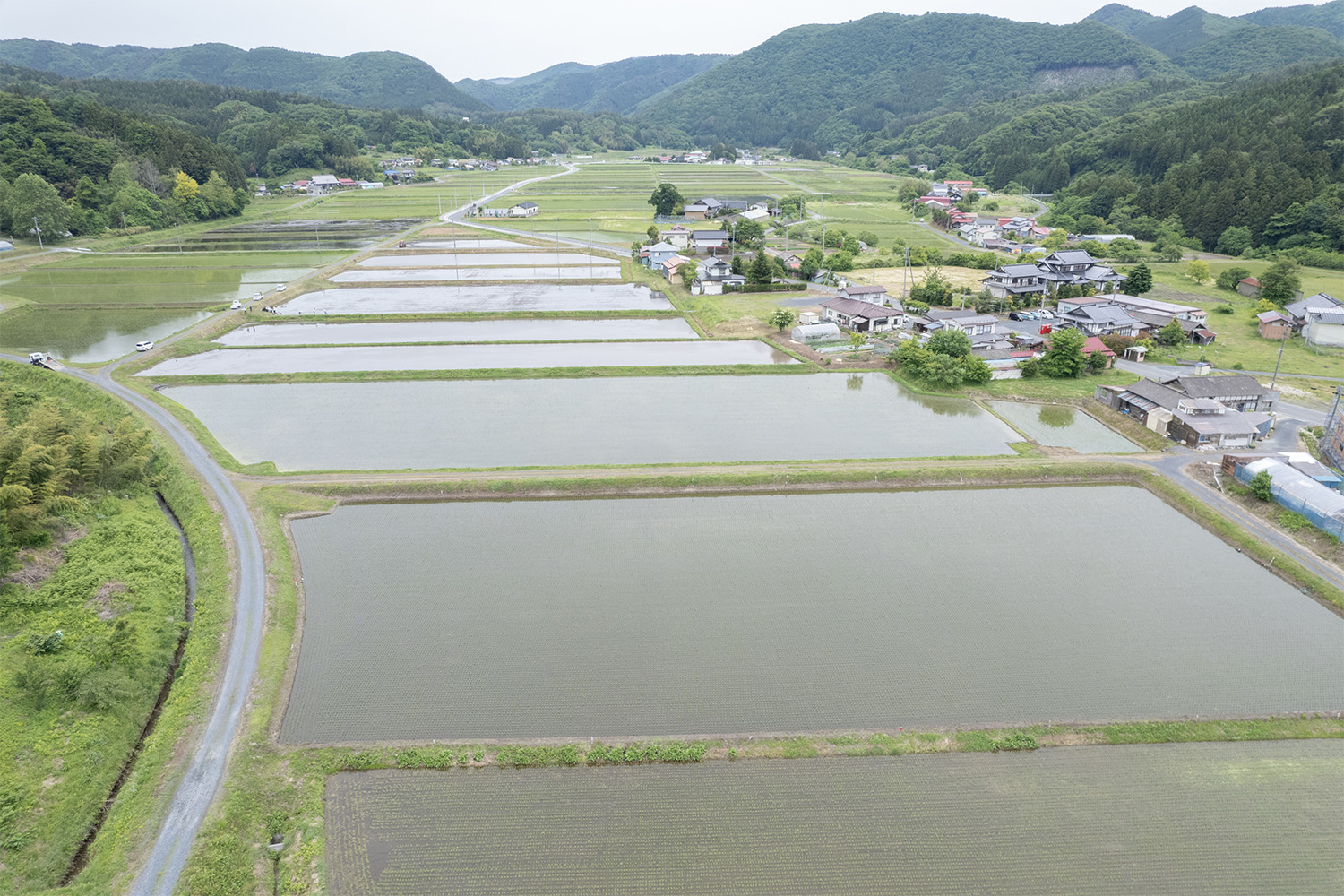 「育てるスキンケアプロジェクト」-SKIN CARE JOURNAL Vol.1-