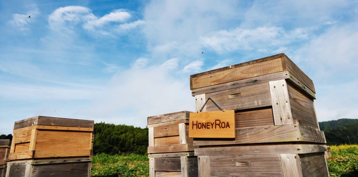 ROA巣箱から、はちみつとご対面！ -BEE JOURNAL Vol.5-