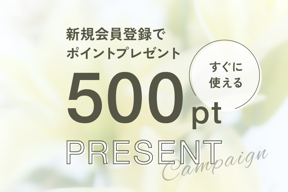 新規会員登録ですぐに使える500ポイントプレゼント