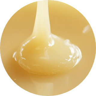 ローヤルゼリーエキス