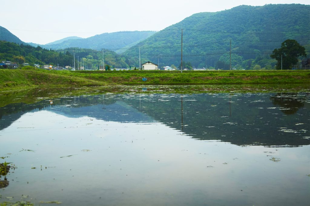 ロアリブ スキンケアジャーナルVol.5