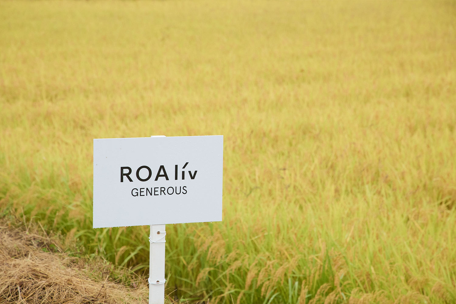 「育てるスキンケアプロジェクト」-SKIN CARE JOURNAL  Vol.6-