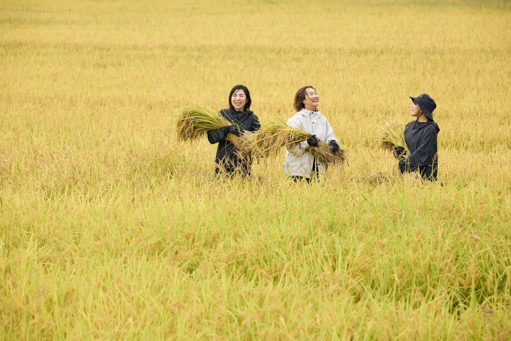 ロアリブ スキンケアジャーナルVol.6